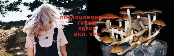 соль ск Нягань